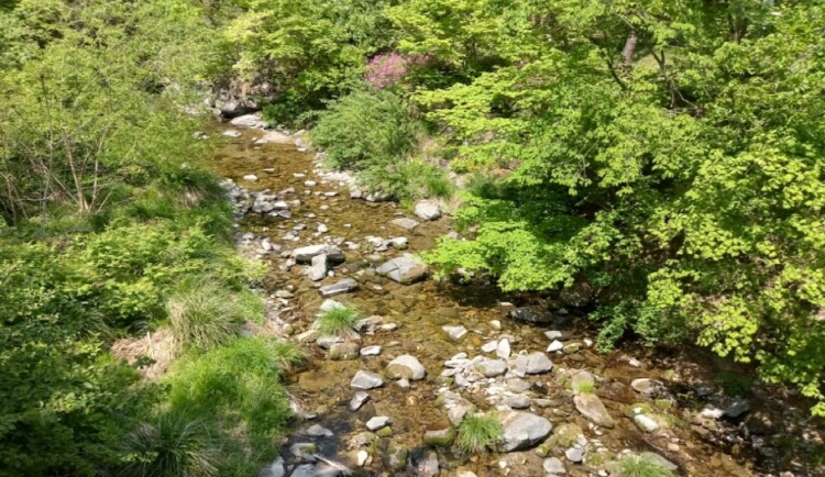 태백고원 자연휴양림