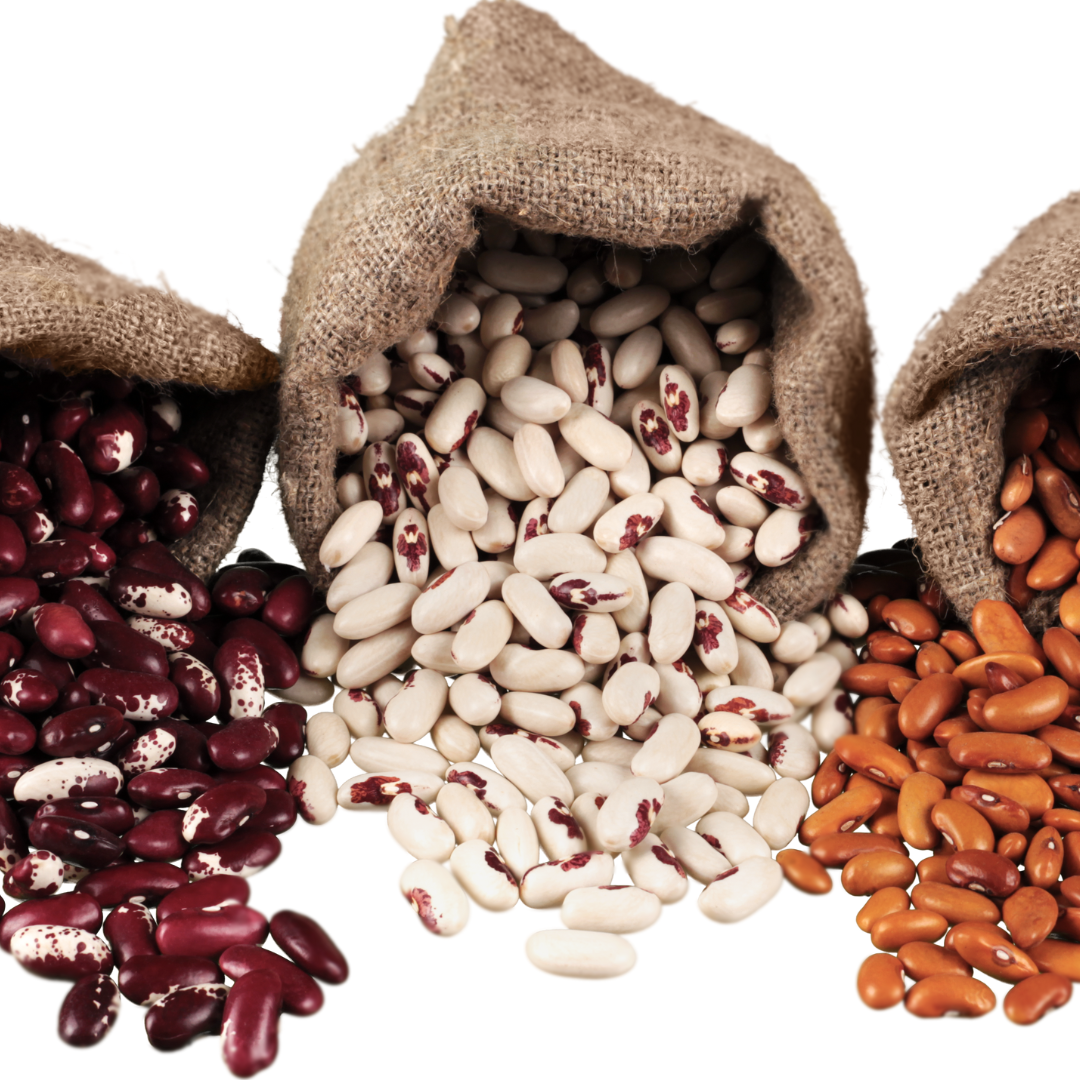 콩의 효능과 콩의 종류