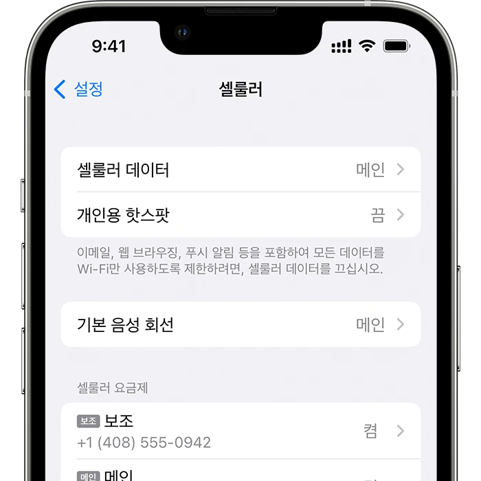 셀룰러 설정