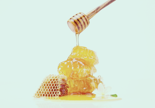 프로폴리스 효능