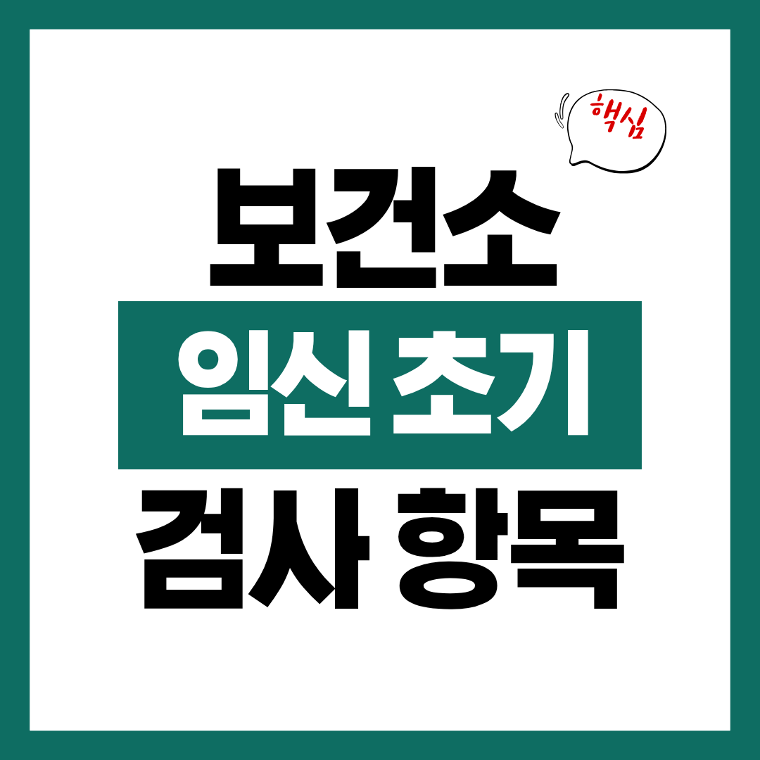 보건소 임신 초기 검사 항목 및 비용 알아보고 검사 받기