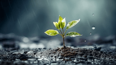 기초생활수급자 자격요건