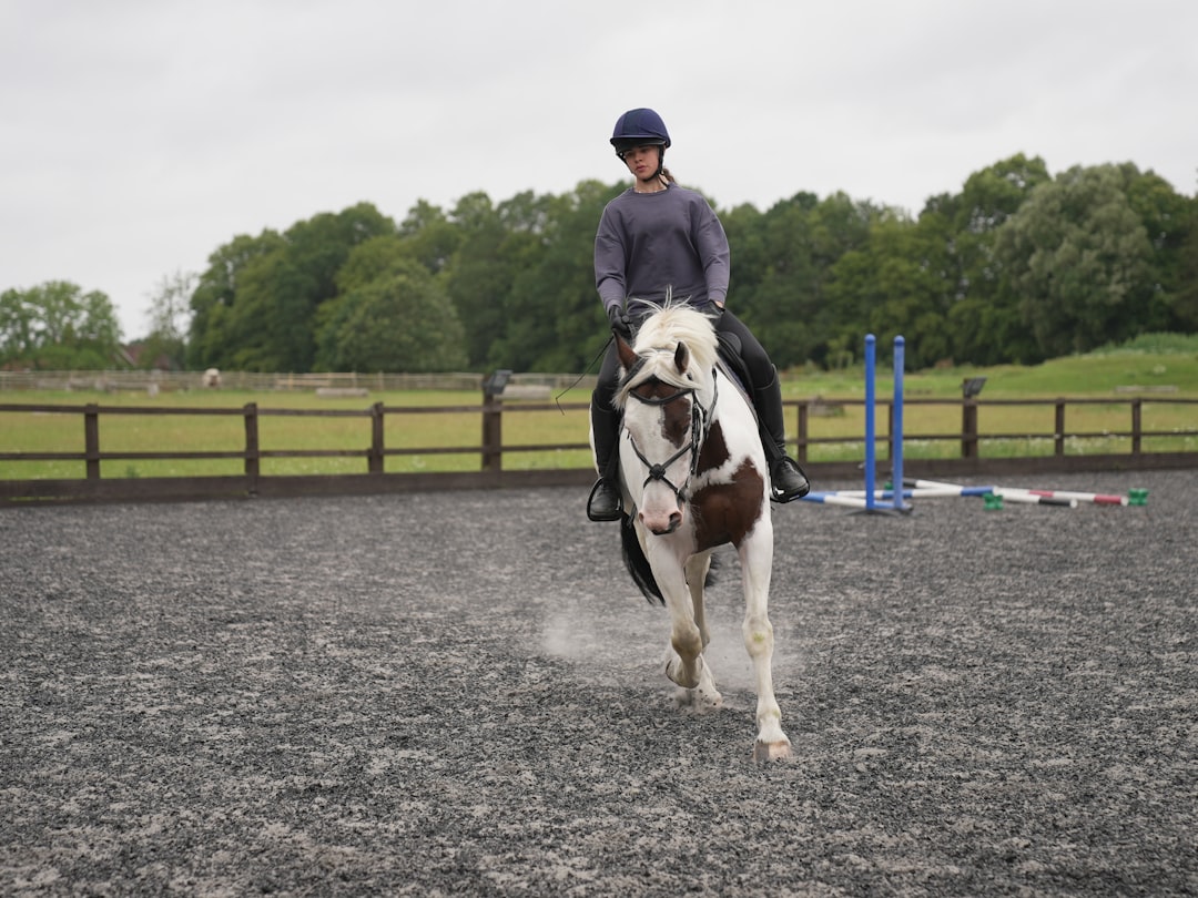 Trot