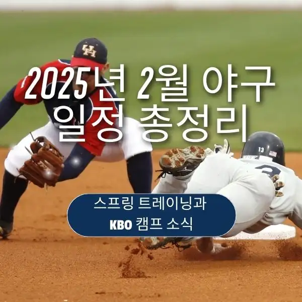 2025년 2월 야구 일정
