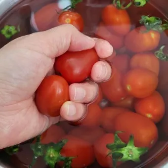 2주 이상 방울토마토 보관 시 꿀팁 오래 보관_14
