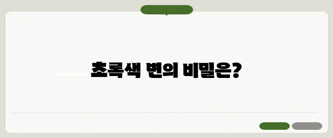 초록색 변 원인 정리 담즙 문제 혹은 식습관 탓일 수도