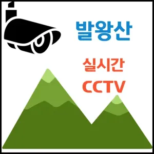 발왕산 실시간 CCTV 확인방법