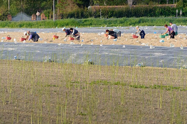 농사철 맞이 마을 공동 작업과 도구의 의미