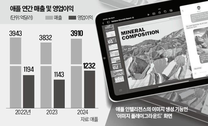 애플 연간 매출 및 영업이익