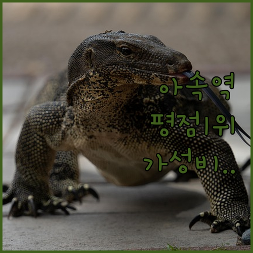 아속역 인근 가성비 숙소부터 럭셔리 ..