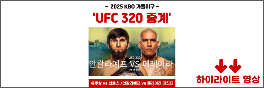 UFC 320