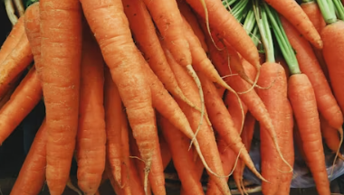 당근마켓 pc버전 다운로드