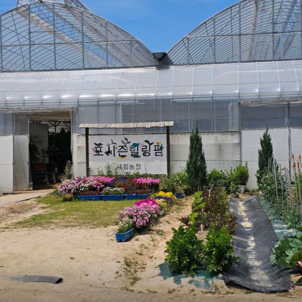 포시즌힐링팜
