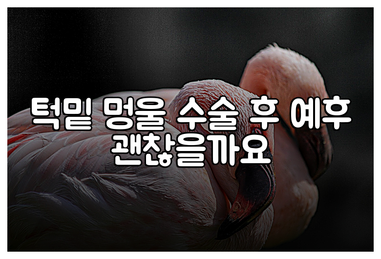 턱밑 멍울 수술 후 예후 괜찮을까요