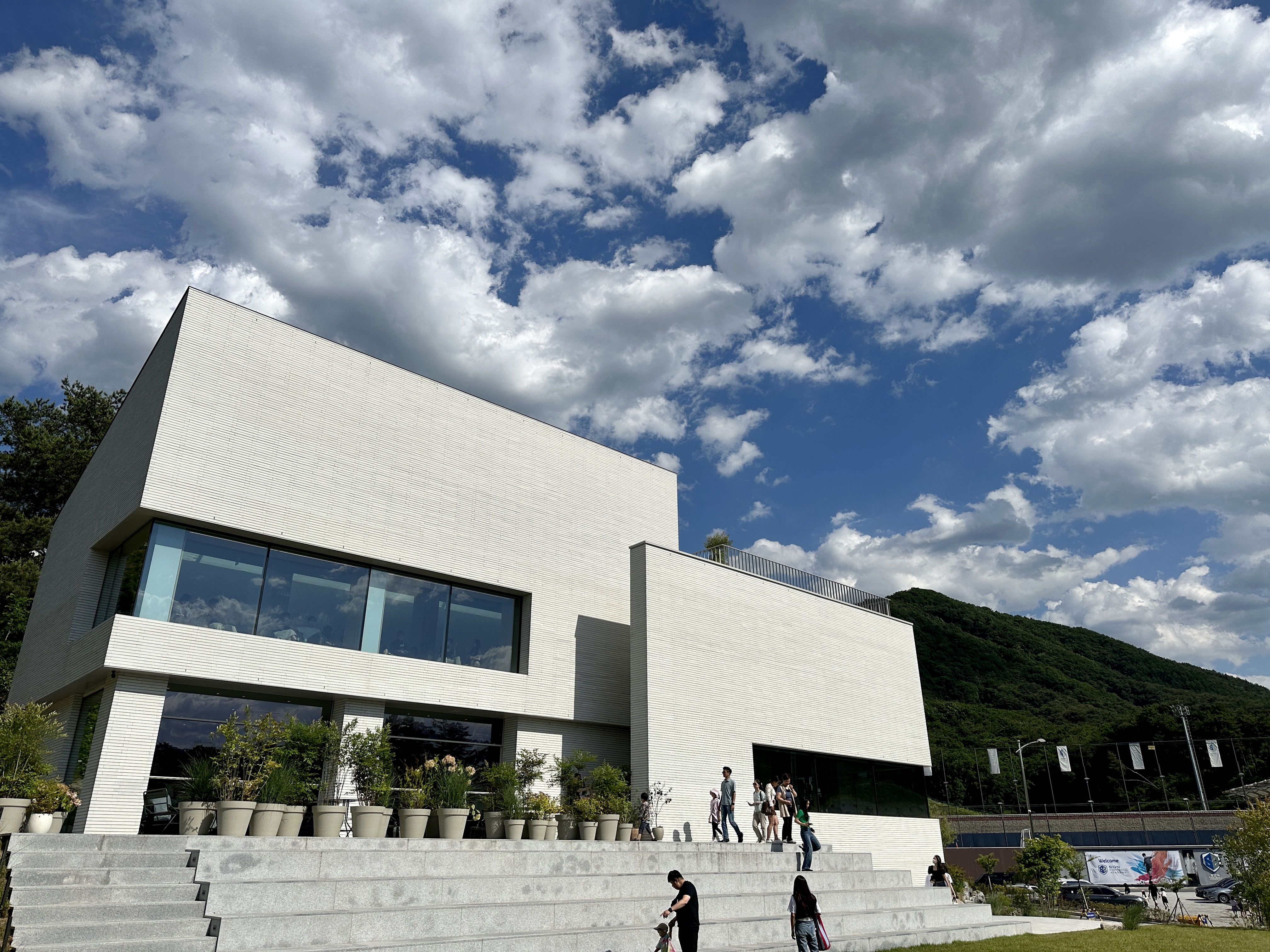 춘천손흥민가게