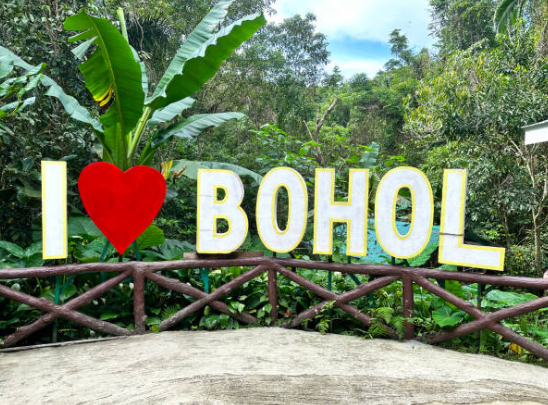 보홀 여행 관련 사진