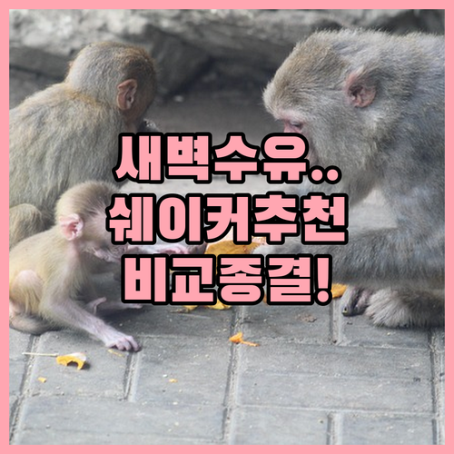 새벽 수유 고민 해결하는 분유 쉐이커..
