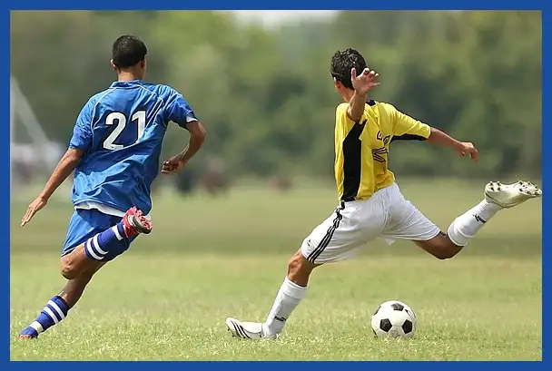 축구 국가대표 감독 연봉 순위: 클린스만&amp;#44; 만치니&amp;#44; 벤투까지 완벽 분석