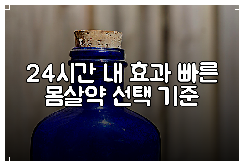 24시간 내 효과 빠른 몸살약 선택 기준