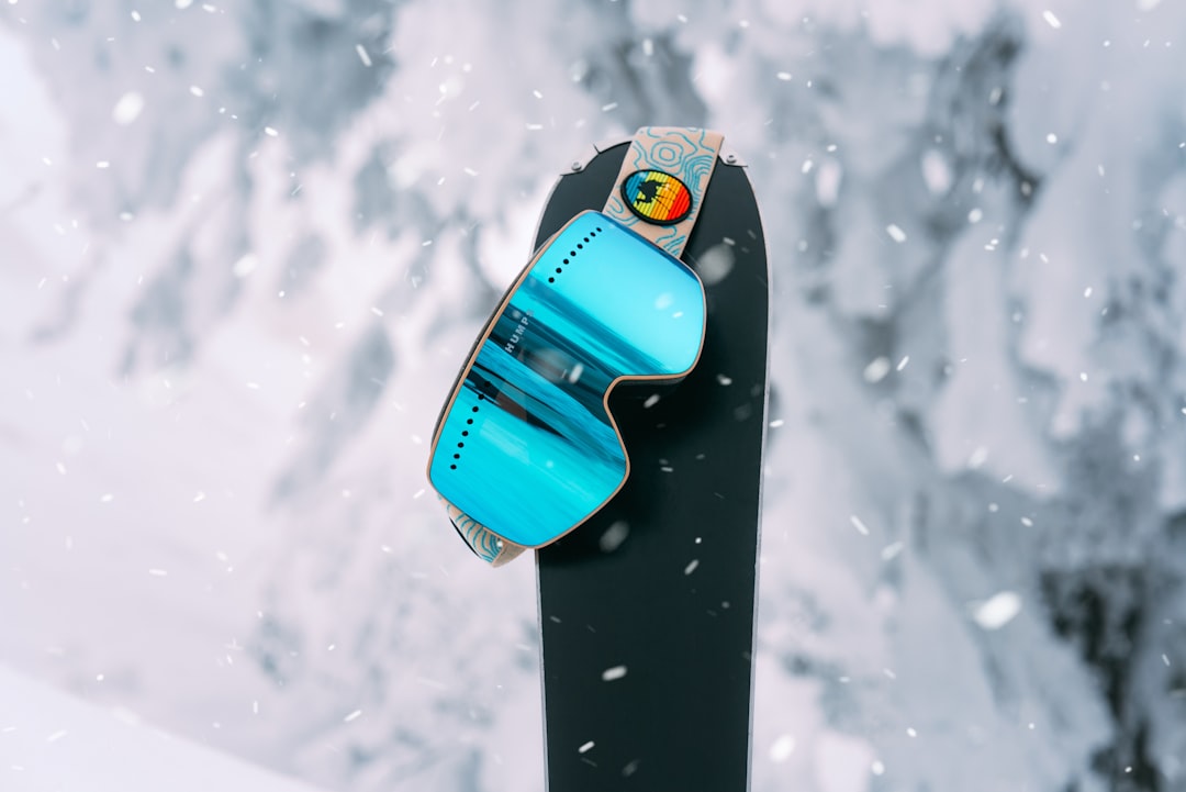 Snowboard