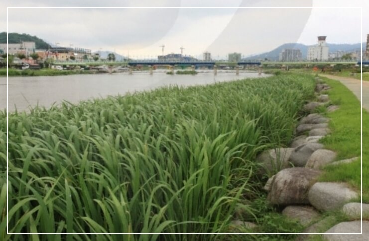 장흥 가볼만한곳 베스트10 탐진강 생태습지원