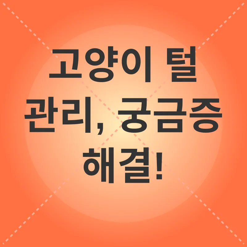 고양이 털 관리_4