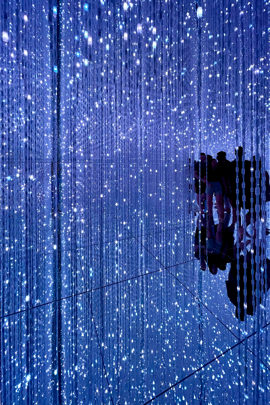 일본 도쿄 팀랩 플래닛 여행-생명은 결정화된 덧없는 빛