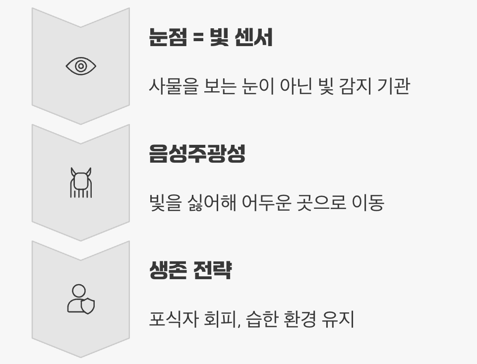 빛을 피해 숨는 수줍은 습성