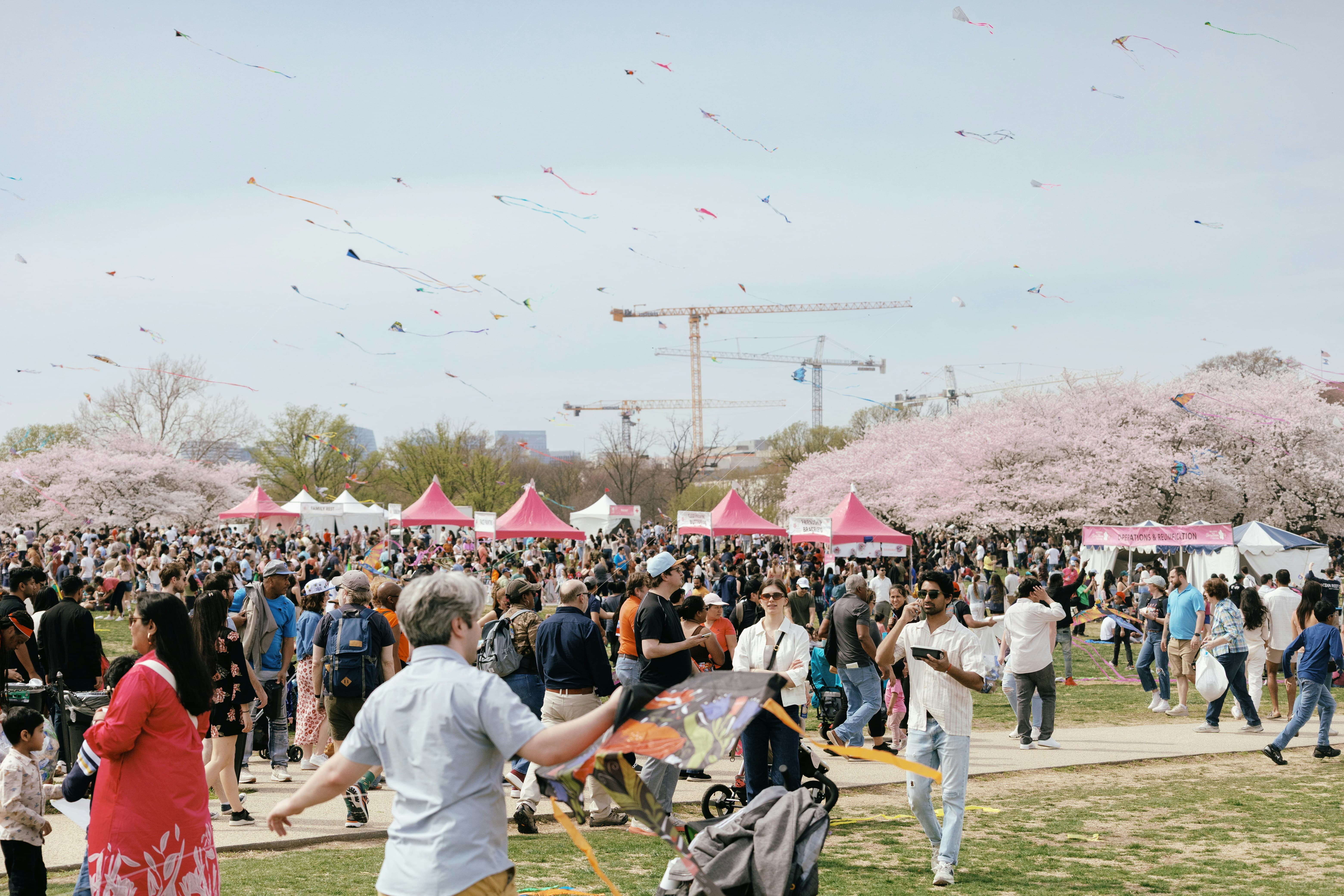 2026 벚꽃 축제 명당 리스트 총정리