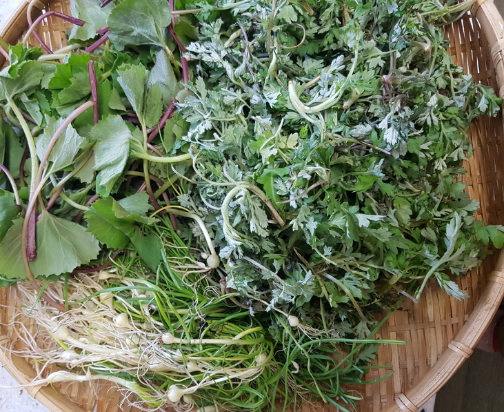 3월에 먹으면 좋은 제철 음식(봄철 음식) - 쑥 편 (효능, 쑥이 들어가는 음식)