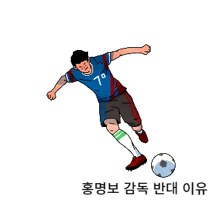 홍명보감독반대이유