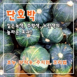 신선한-단호박-모음