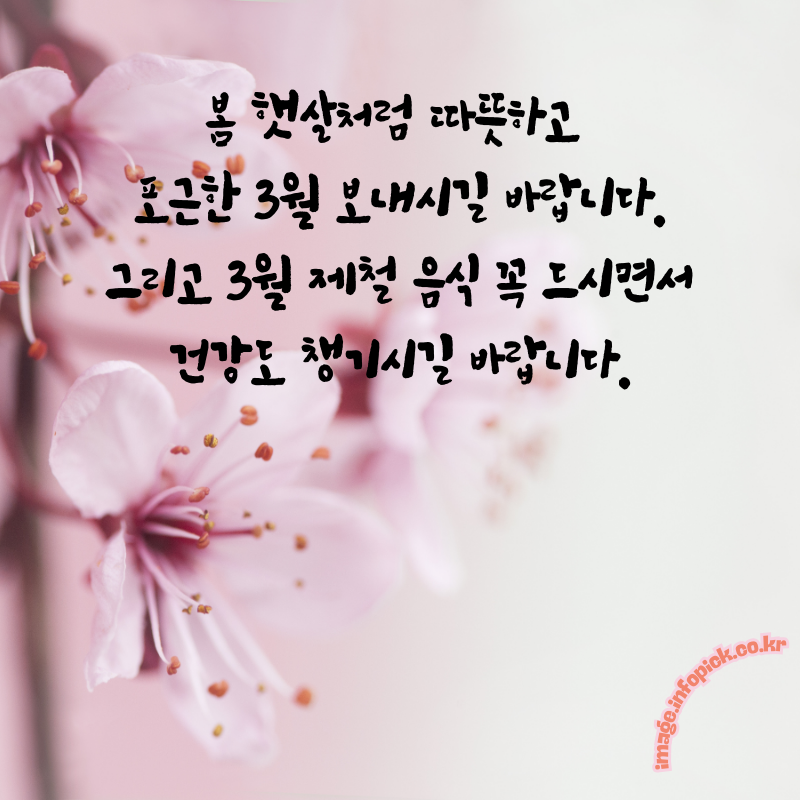 3월 인사말 문구 이미지 모음집3월 인사말 문구 이미지 모음집