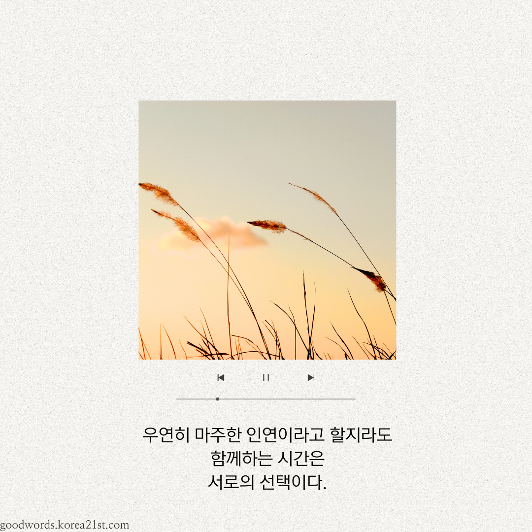 인연에 관한 좋은 글귀 명언 문구 이미지