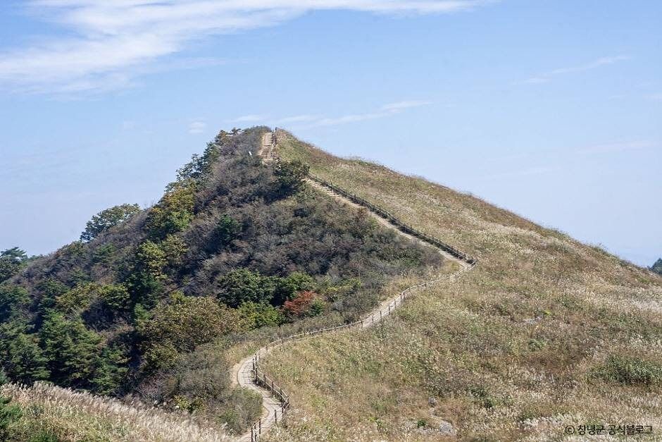 창녕 가볼만한곳 베스트10