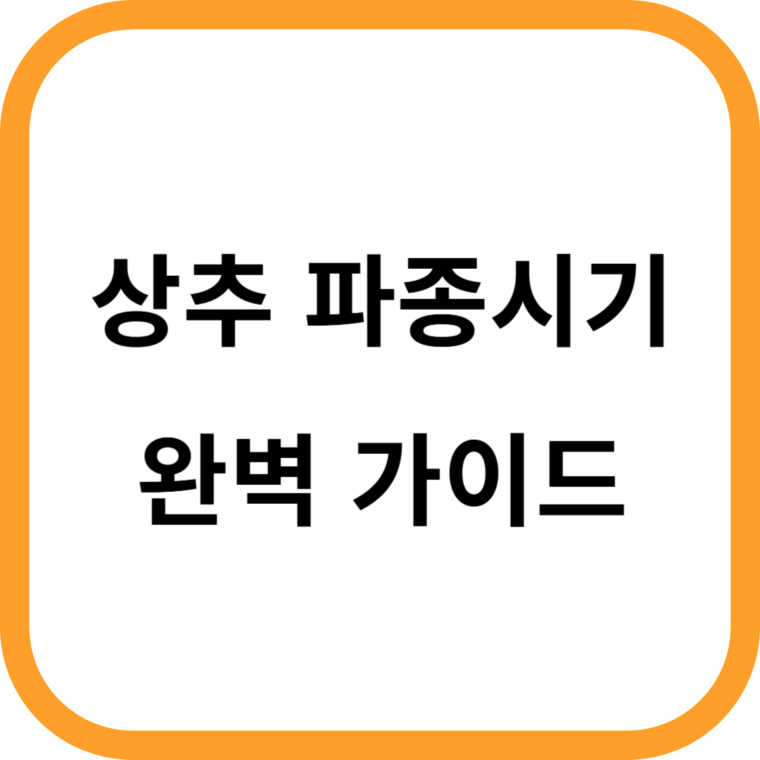상추 파종시기