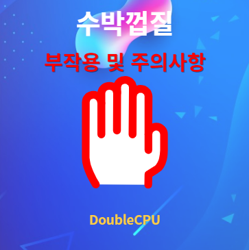 수박껍질 부작용 및 주의사항