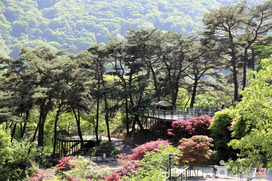 화순 무등산 바우정원 수만리 캠핑장