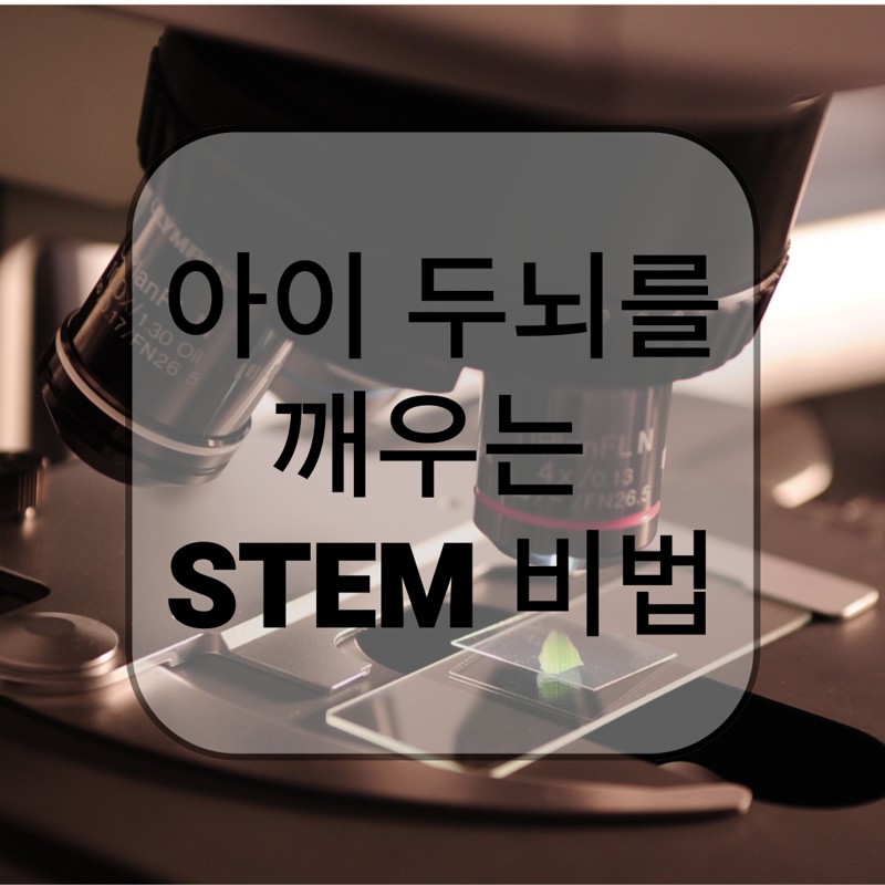 현미경 렌즈 아래 식물 샘플이 놓여 있는 장면. 중앙에 '아이 두뇌를 깨우는 STEM 비법'이라는 문구가 반투명 박스 안에 쓰여 있다