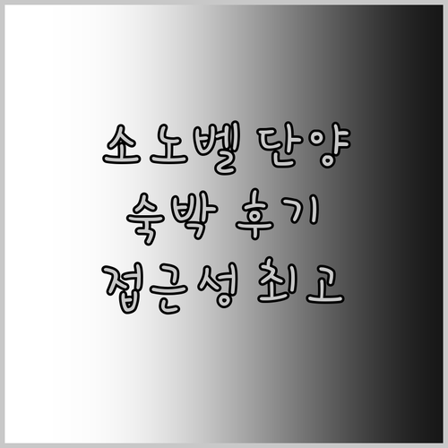 소노벨 단양 숙박 후기 깔끔한 객실과