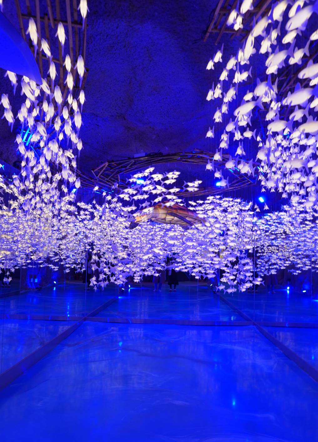 taehwagang-cavepia-summer-trip