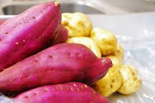 방귀가 많이 나오는 이유