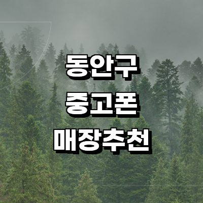 안양 동안구 중고폰