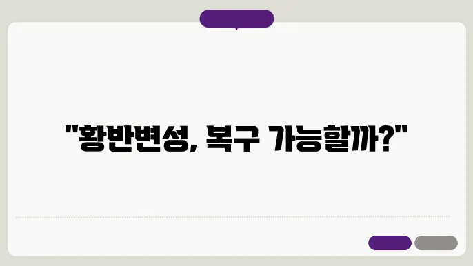 황반변성 치료법