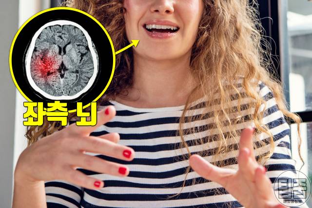 뇌졸중 전조증상 체크리스트 기억력 뇌졸중 전조증상 테스트