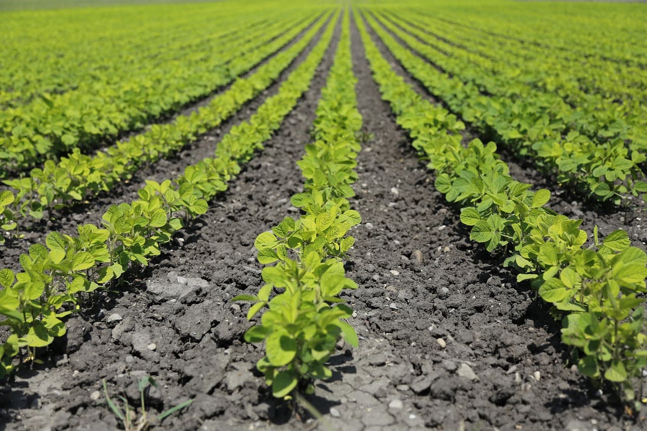 스마트 팜 환경 제어 시스템의 고도화: 최적 생육 환경 조성의 비밀