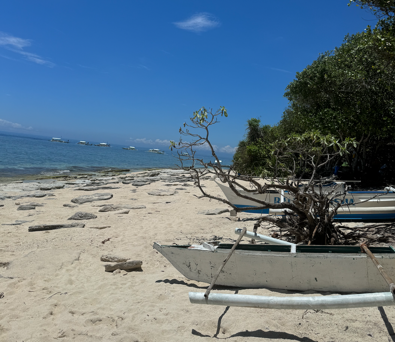 여름에 떠나기 좋은 해외 휴양지 어디?