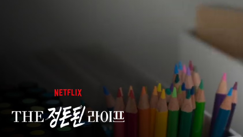 넷플릭스 THE 정돈된 라이프 후기