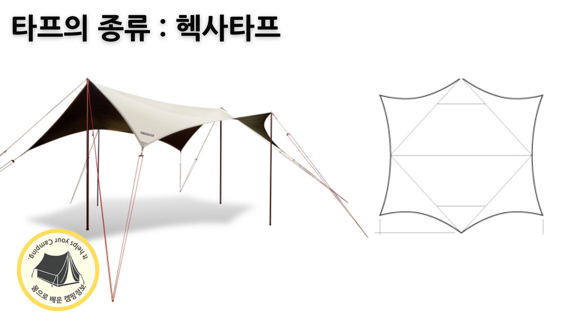 헥사타프 헥사타프