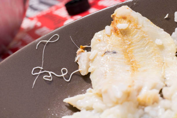 구충제 복용시기와 복용법을 알아봤습니다. 구충제는 일년에 적어도 한번씩은 꼭 먹는데요. 과거에 비해 지금은 안 먹어도 된다는 말이 있지만 안전하게 먹어주는 게 좋겠지요? 구충제를 왜 먹어야 하며 어떻게 섭취해야 할까요? 참고하시기 바랍니다. 